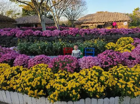 제주민속촌 리뷰사진4