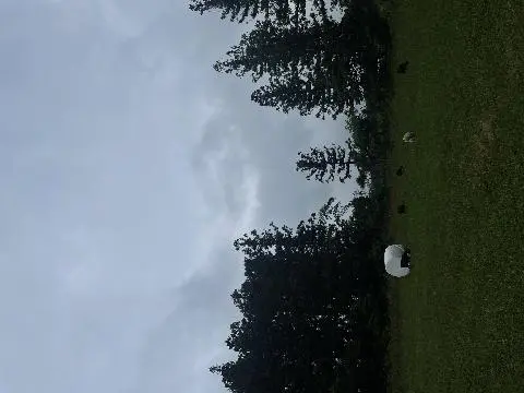 안돌오름 리뷰사진4