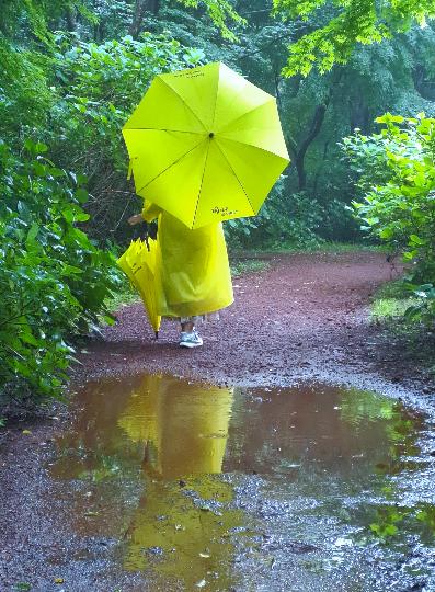  미스트처럼 이슬비가 내려서 우비와 우산을 쓰고 6월이지만 시원한 산책을 하였다. 비가 내려 더욱 싱그러웠다. 친구들과 같은 우산을 쓰고 행복한 시간을 보냈다.