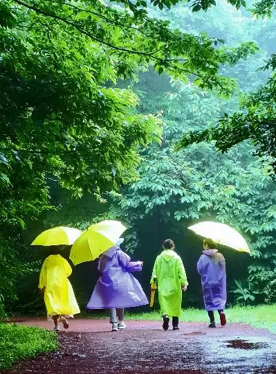 친구들과 빗속을 걸으며 에코랜드레서 힐링하다