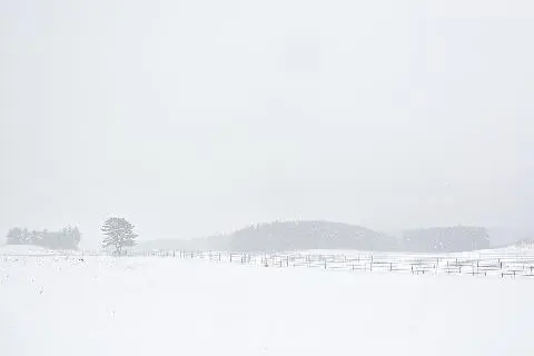 비짓제주 댓글 이벤트 참여하고 경품받자!