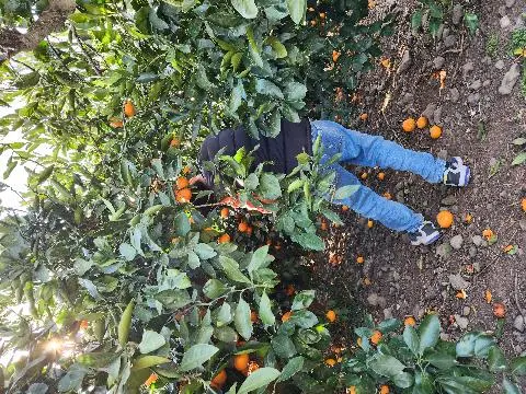 비짓제주 댓글 이벤트 참여하고 경품받자!