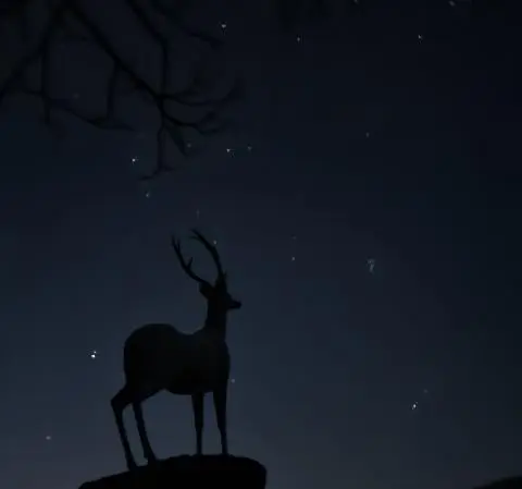 제주의 절경을 한눈에! ‘1100도로 여행지’