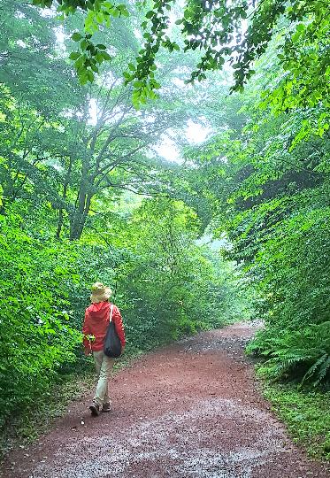 에코랜드 숲길을 걷다.