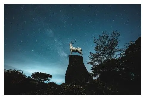 비짓제주 댓글 이벤트 참여하고 경품받자!