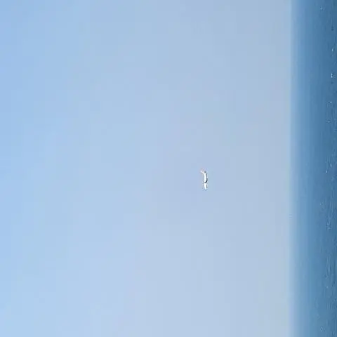 비짓제주 댓글 이벤트 참여하고 경품받자!