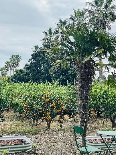 비짓제주 댓글 이벤트 참여하고 경품받자!