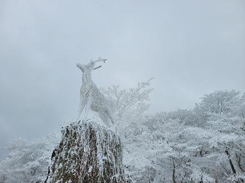 비짓제주 댓글 이벤트 참여하고 경품받자!