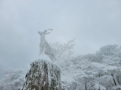 비짓제주 댓글 이벤트 참여하고 경품받자!