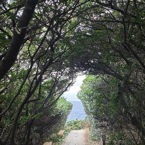 큰엉해안경승지