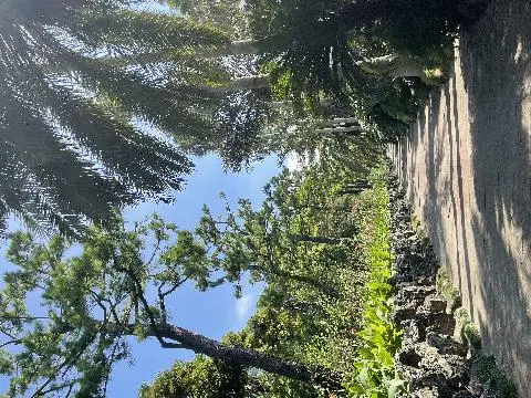 비짓제주 댓글 이벤트 참여하고 경품받자!