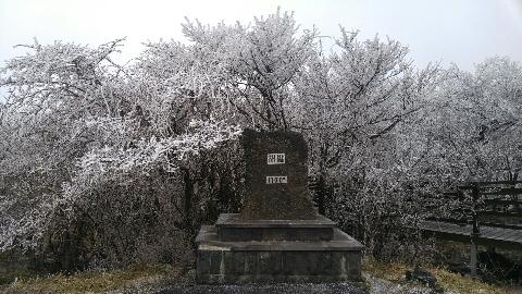 비짓제주 댓글 이벤트 참여하고 경품받자!