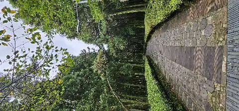 제주절물자연휴양림