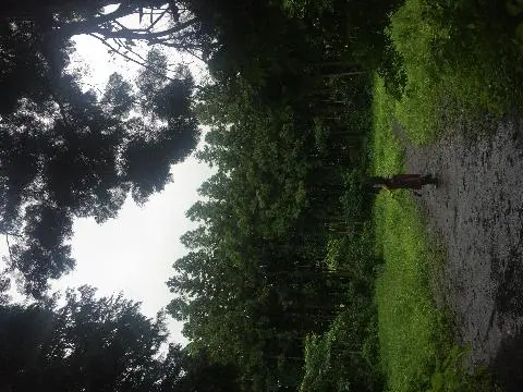  찐p 뚜벅이들과 함께한 청춘여행! 대학동기 4명에서 함께한 첫 여행으로 우여곡절도 많고 예민해지기도 했지만 그마져도 추억이라 생각하며 행복했던 여름. 끝없는 팀플과 시험에 시달리다가 종강하고 거의 바로 달려갔던지라 우리의 여행 컨셉은 힐링이었고, 실제로 제주의 자연을 보며 치유를 받았다. 
 안돌오름을 간 날도 당일 급하게 세운 목적지였다. 비가 계속 오락가락하고 택시도 잘 안 잡혀 아침부터 걱정이 이만저만이 아니었지만, 안돌오름까지 함께했던 기사님이 너무 유쾌하셔서 덩달아 기분이 좋아졌다. 비도 우리가 구경할때는 오지 않았고 짙게 낀 안개가 숲을 미묘한 분위기로 연출시켜주었다. 욕심내서 챙겨온 장화도 진흙탕속에서 빛을 발했다. 모든게 엉망이었다고 생각했던 것들이 오히려 행복포인트가되어 돌아올 수도 있다는걸 느꼈다. 소중한 추억은 힘들때 버텨나갈 수 있는 힘이라 생각하고 힘들때마다 제주의 추억을 생각하며 앞으로의 인생도 잘 나아가리라 다짐했다. 