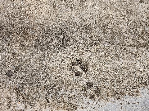 허니문하우스 리뷰사진2