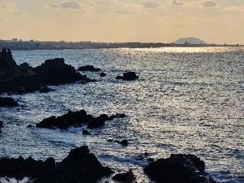 비짓제주 댓글 이벤트 참여하고 경품받자!