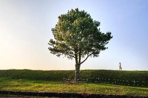 항파두리항몽유적지