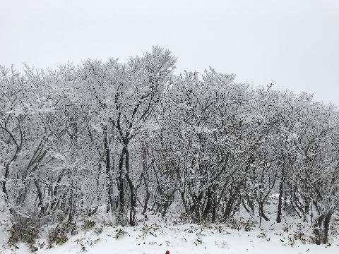 비짓제주 댓글 이벤트 참여하고 경품받자!