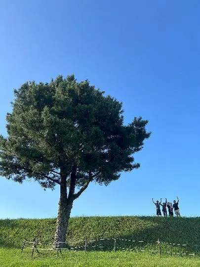 항파두리항몽유적지