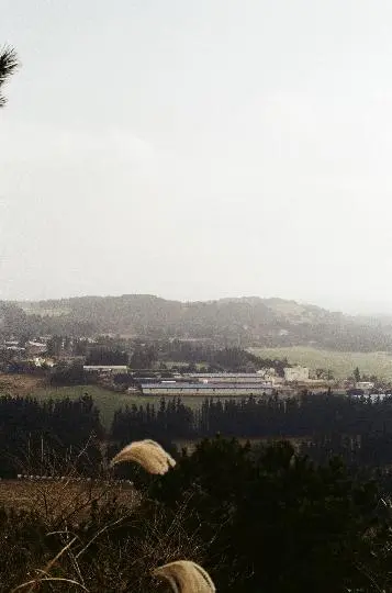 금악오름(왕매) 리뷰사진3