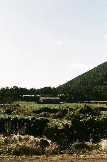 금악오름(왕매) 리뷰사진4