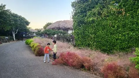 제주민속촌 리뷰사진2