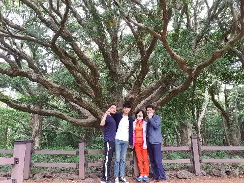 에코 힐링의 공간 <사려니 숲과 비자림>