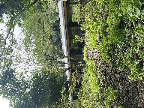 오설록티뮤지엄