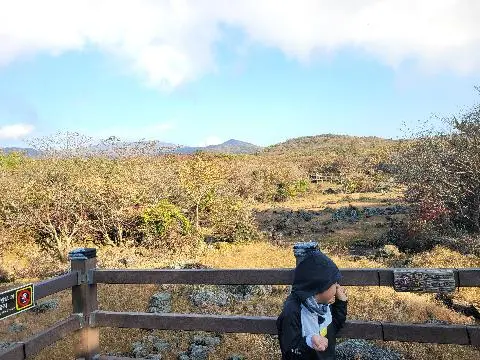 비짓제주 댓글 이벤트 참여하고 경품받자!