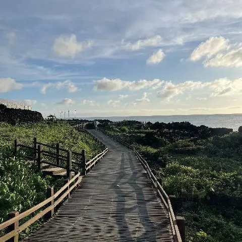 월령선인장군락지
