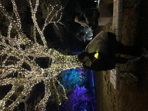 비짓제주 댓글 이벤트 참여하고 경품받자!