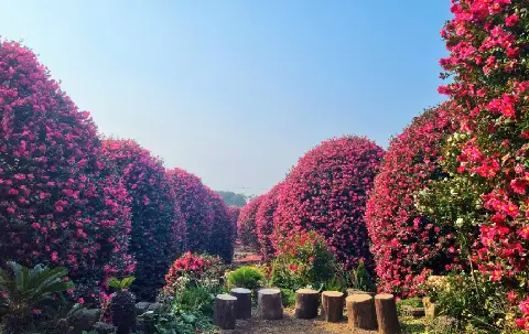 비짓제주 댓글 이벤트 참여하고 경품받자!