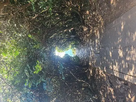 올레길 5코스를 걷다보면 남원큰엉코스가 있어요 관광오시거나 올레길을 걷는분들은 5코스 남원큰엉코스로 한번 와봤으면 좋겠어요 중간에 한반도 모양의 사진스팟이 진짜 예쁩니다!