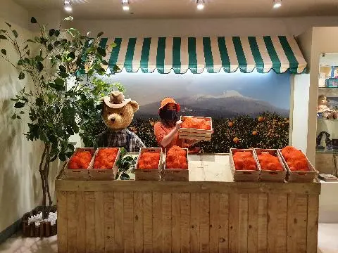 테디베어뮤지엄제주 리뷰사진2