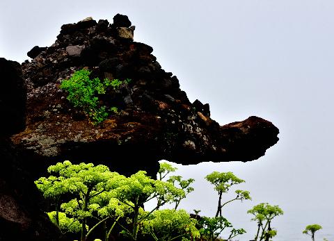 섭지코지로