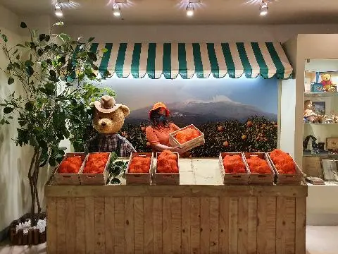 테디베어뮤지엄제주 리뷰사진1