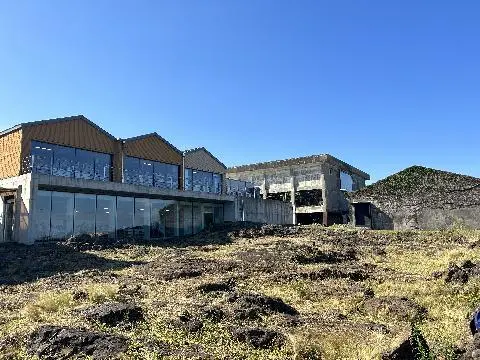 런던베이글뮤지엄