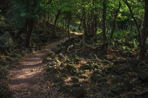 비짓제주 댓글 이벤트 참여하고 경품받자!