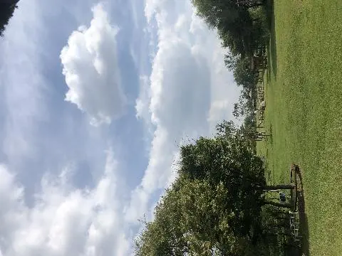 비짓제주 댓글 이벤트 참여하고 경품받자!