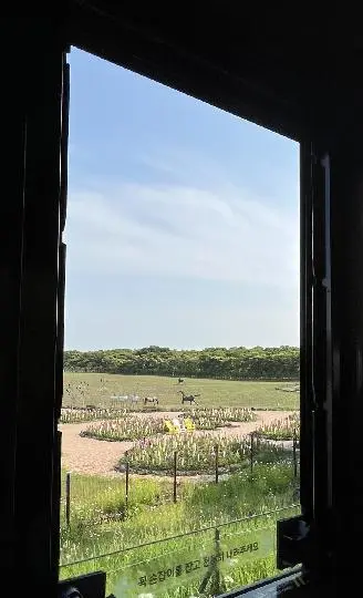 에코랜드 테마파크 리뷰사진2