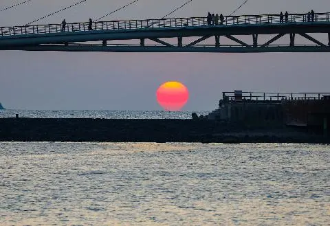 새연교 리뷰사진2