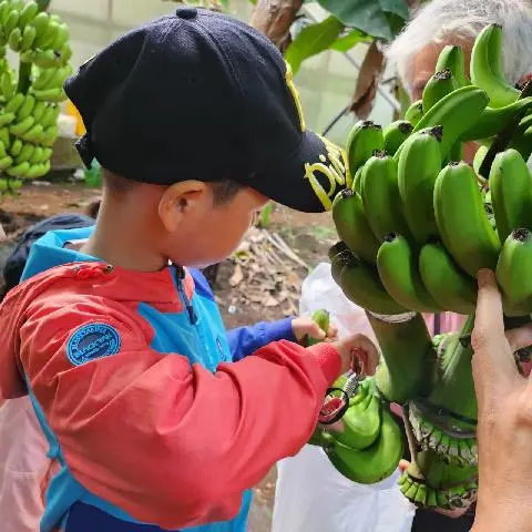 유진팡 열대과일농장