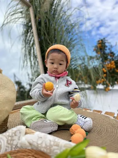 텐저린267 감귤체험농장