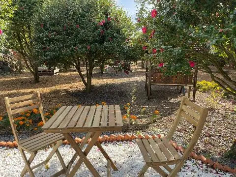 동백포레스트 리뷰사진3