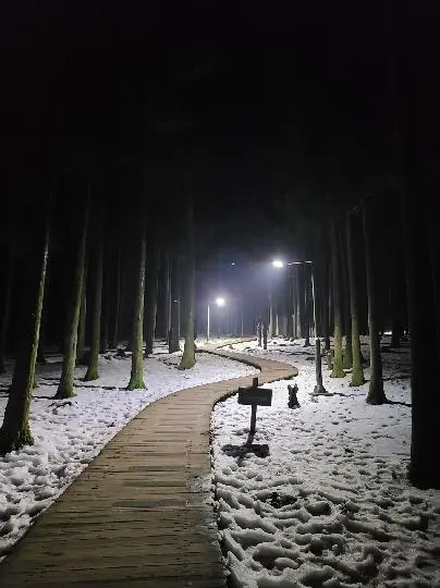 제주절물자연휴양림