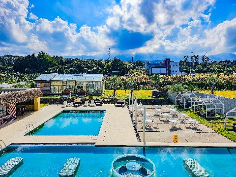 오드씽 리뷰사진5