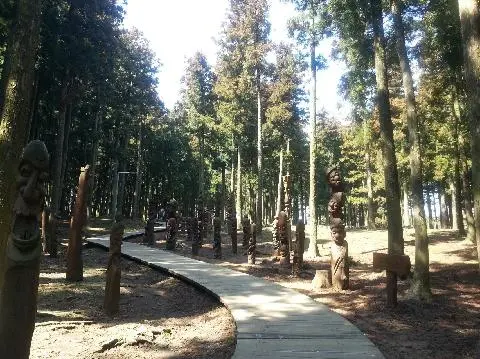 제주절물자연휴양림 리뷰사진2