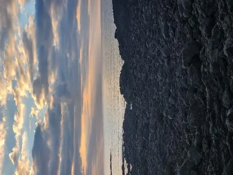 표선해수욕장 리뷰사진4