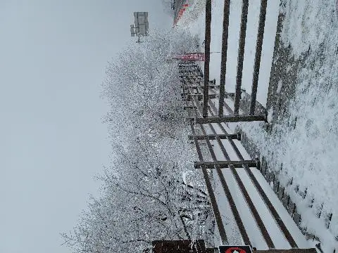 비짓제주 댓글 이벤트 참여하고 경품받자!