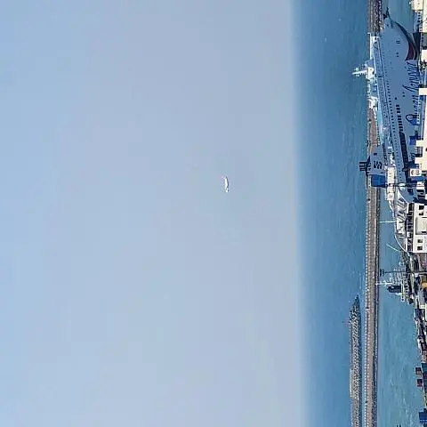 사봉낙조를 기다리며 <도심 속 오름 사라봉 걷기>